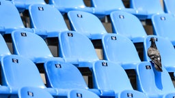 Eine Taube sitz auf einem der vielen leeren Plätze im Olympiastadion. © imago/Beautiful Sports
