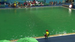 Ein Schwimmbecken mit grünem Wasser.  