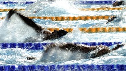 Rückenschwimmer ziehen ihre Bahnen. © picture-alliance/ dpa 