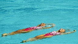 Italienische Synchronsschwimmerinnen © dpa Foto: Patrick B. Kraemer