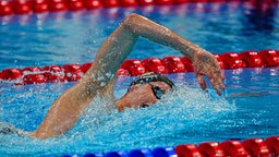 Der deutsche Schwimmer Florian Wellbrock während eines Rennens über 800 Meter Freistil. © dpa-Bildfunk Foto: Michael Kappeler/dpa